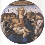 Sandro Botticelli Madonna and child with eight Angels or Raczinskj Tondo oil